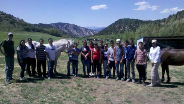 Service day at Mountain Valley Horse Rescue!